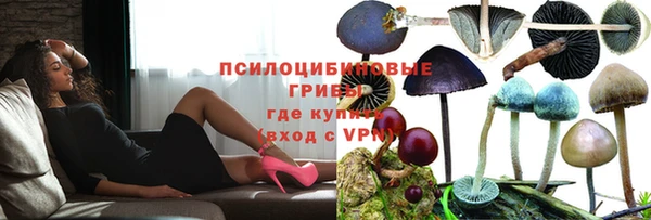 прущие крисы Верхний Тагил
