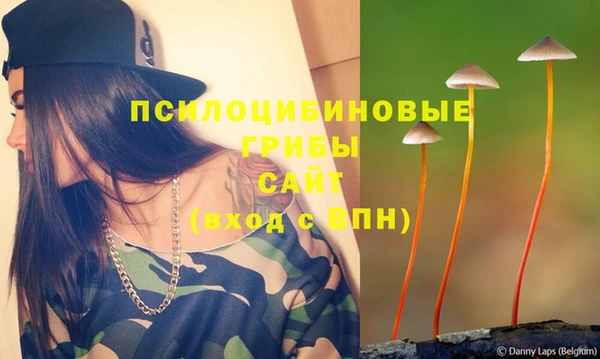 прущие крисы Верхний Тагил