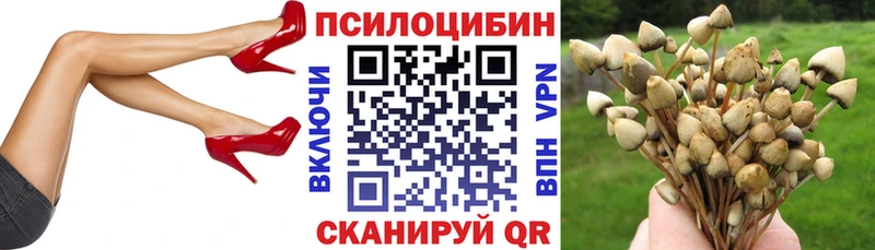 omg ссылка Власиха Галлюциногенные грибы Cubensis